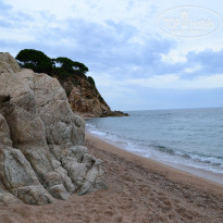 фото из отзыва ID 1224424