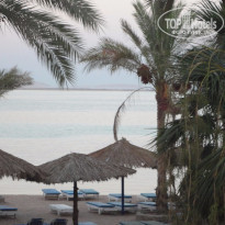 фото из отзыва ID 1224539