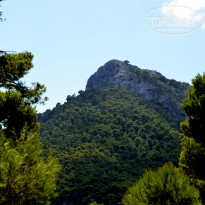 фото из отзыва ID 1224731