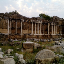 фото из отзыва ID 1224906