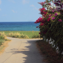 фото из отзыва ID 1224941