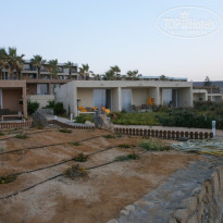 фото из отзыва ID 1224964