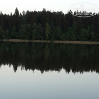 фото из отзыва ID 1225117