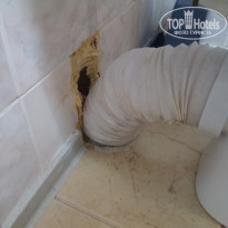 фото из отзыва ID 1225418