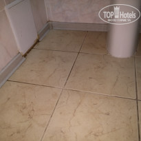 фото из отзыва ID 1225418