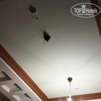 фото из отзыва ID 1225418