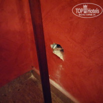 фото из отзыва ID 1225418