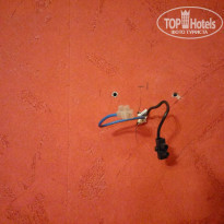 фото из отзыва ID 1225418