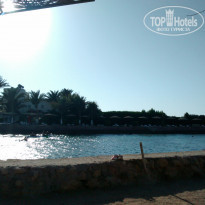 фото из отзыва ID 1225806