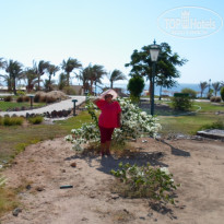 фото из отзыва ID 1225813