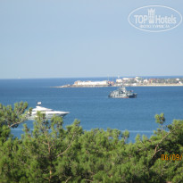 фото из отзыва ID 1225303