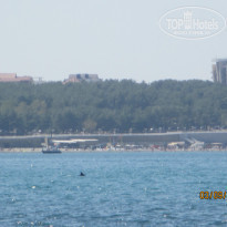 фото из отзыва ID 1225303