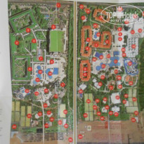 фото из отзыва ID 1221076