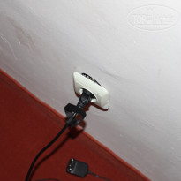 фото из отзыва ID 1226215