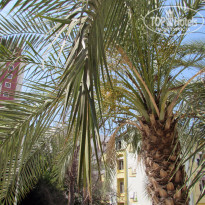 фото из отзыва ID 1226258