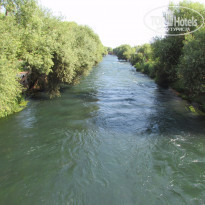 фото из отзыва ID 1226258