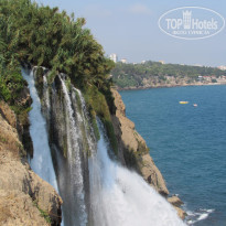 фото из отзыва ID 1226258