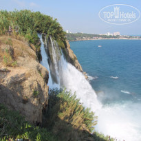 фото из отзыва ID 1226258