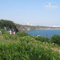 фото из отзыва ID 1226258