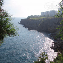 фото из отзыва ID 1226258