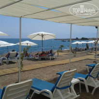 фото из отзыва ID 1226258