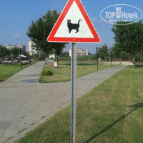 фото из отзыва ID 1226258