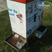 фото из отзыва ID 1226258