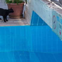 фото из отзыва ID 1226371