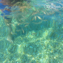 фото из отзыва ID 1226626