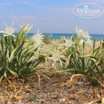 фото из отзыва ID 1226626