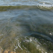 фото из отзыва ID 1226791