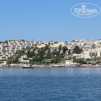 фото из отзыва ID 1226950