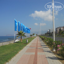 фото из отзыва ID 1227250