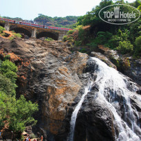 фото из отзыва ID 1227285