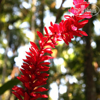 фото из отзыва ID 1227285