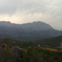 фото из отзыва ID 1227404