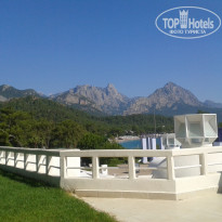 фото из отзыва ID 1227404