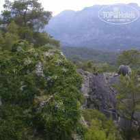 фото из отзыва ID 1227404