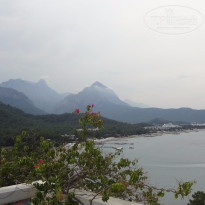 фото из отзыва ID 1227404