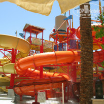 фото из отзыва ID 1226688