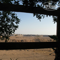 фото из отзыва ID 1226688