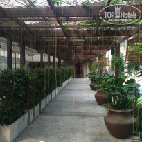 фото из отзыва ID 1227519