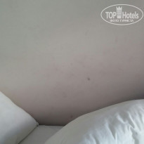 фото из отзыва ID 1227556