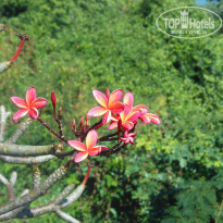 фото из отзыва ID 1227616