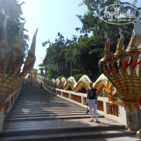 фото из отзыва ID 1227616