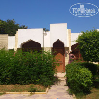 фото из отзыва ID 1227630