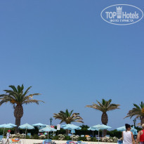 фото из отзыва ID 1227783