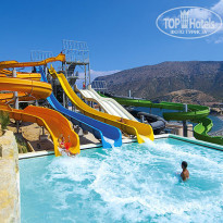 фото из отзыва ID 1228011