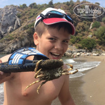 фото из отзыва ID 1228047