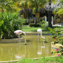 фото из отзыва ID 1228080